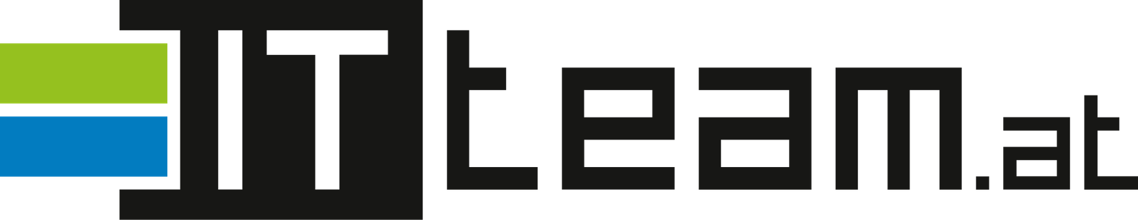 IT TEAM